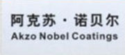 阿克蘇諾貝爾